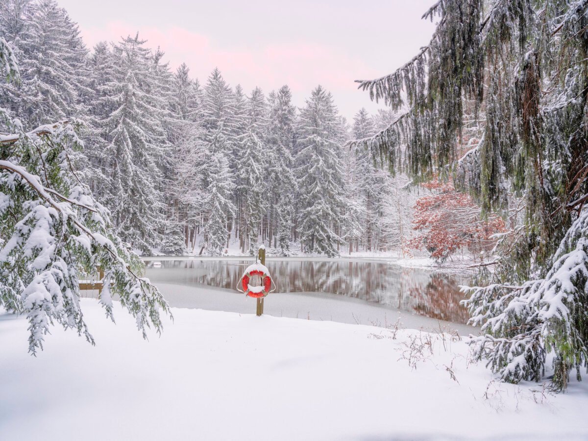 Winter landscape featuring a bright red life preserver ring adding a pop of color to the snow-draped lake