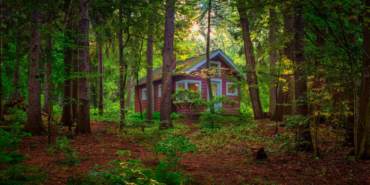 Charming red cabin nestled among tall trees with sunlight filtering through the forest canopy