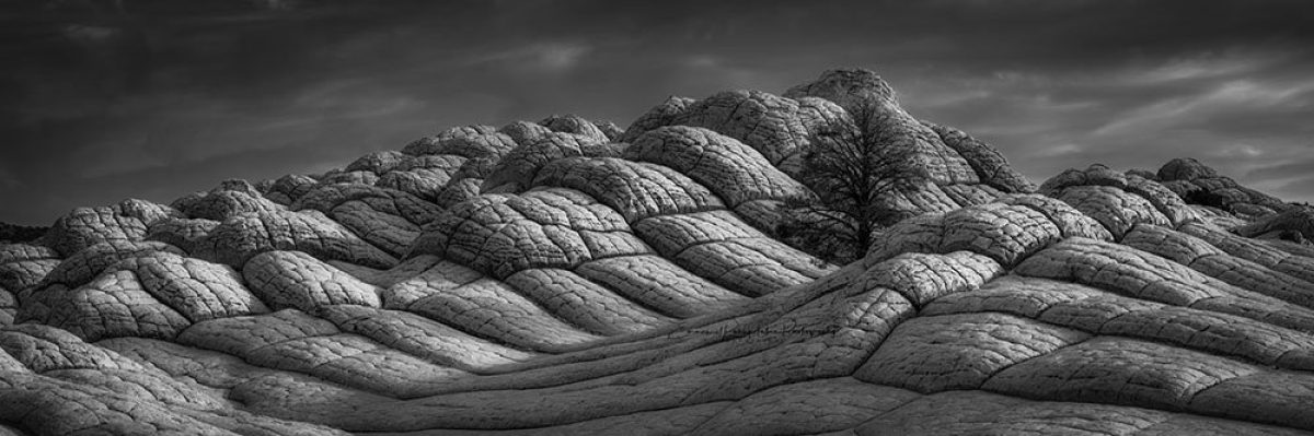 Hope | A Fine Art Black and White Photography Print
