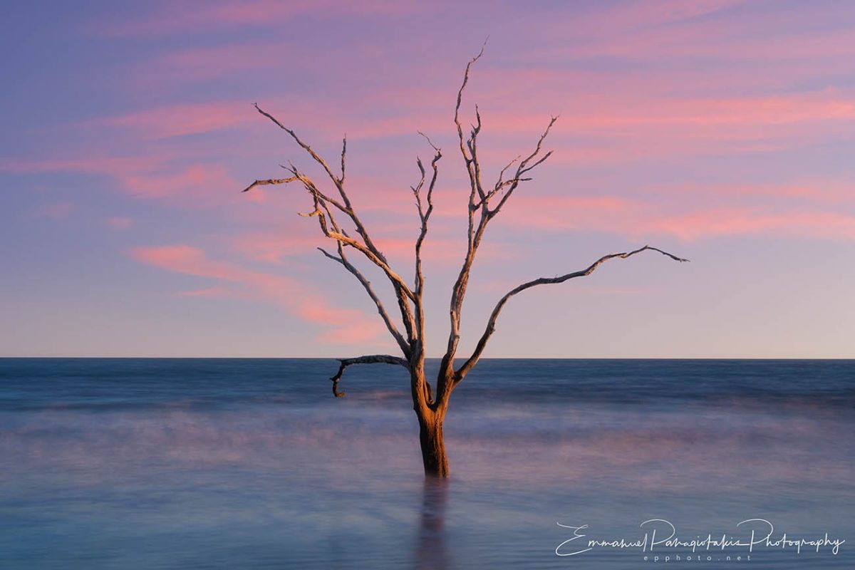 Boneyard Dreamscape