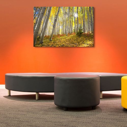 Fine-Art-Photography-hanging-in-a-waiting-room