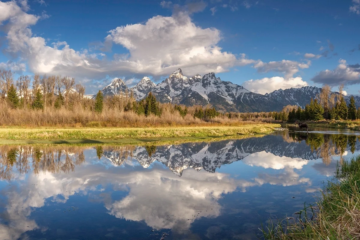 The-moose-and-me-reflections
