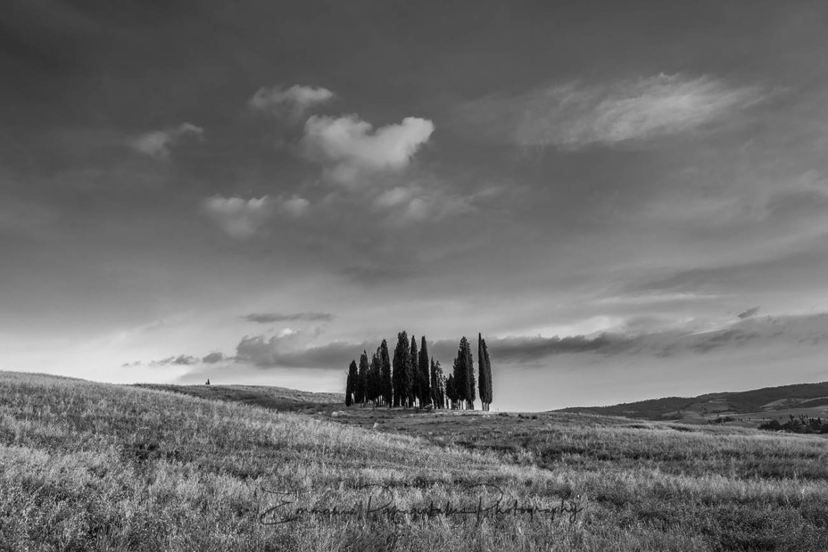 Tuscany 0048