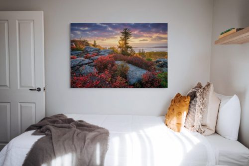 cloud-inversion-dolly-sods-1